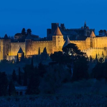 Appartamento Le Panoramique - Sublime Vue Sur La Cite Carcassonne Esterno foto