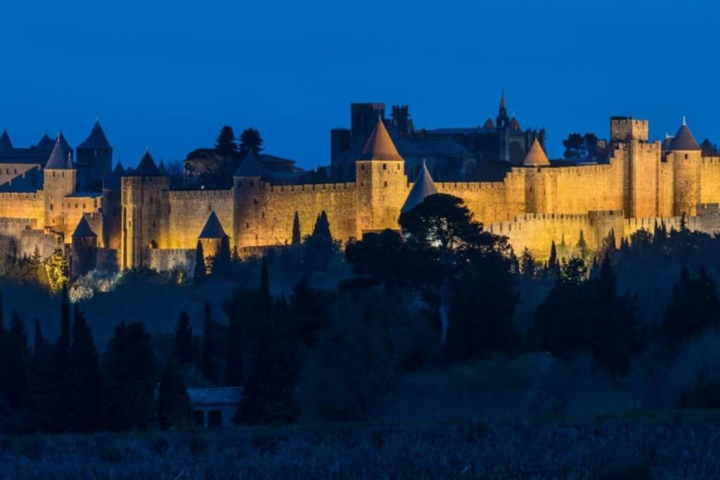 Appartamento Le Panoramique - Sublime Vue Sur La Cite Carcassonne Esterno foto